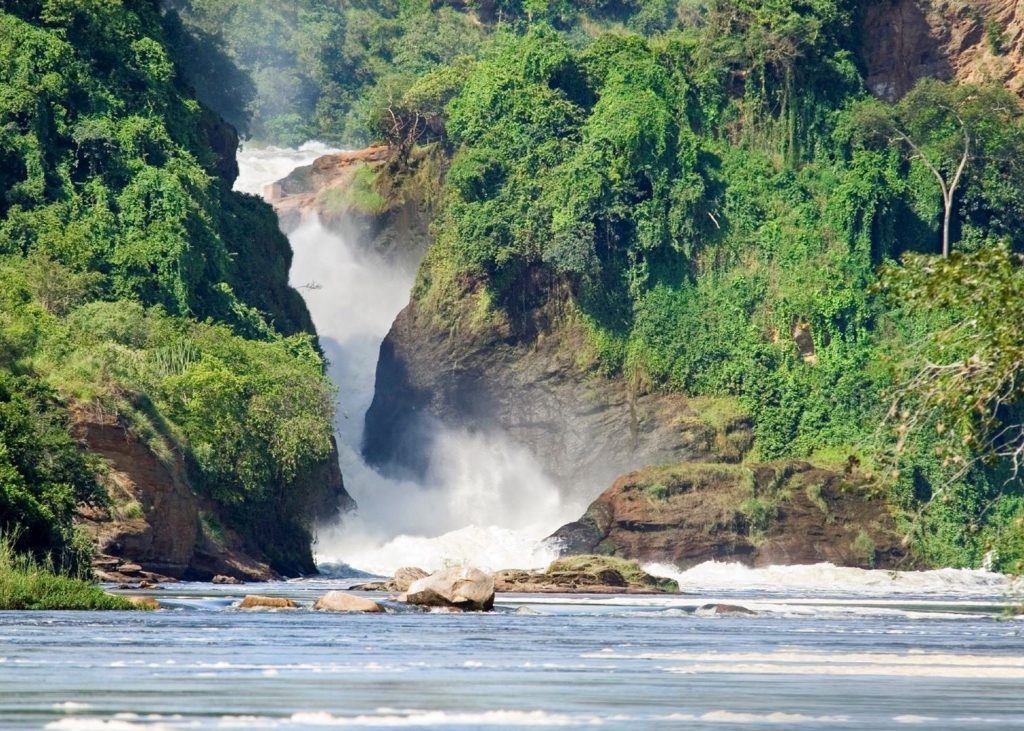 The powerful Murchison Falls on the Victoria Nile, where the entire river explodes through a narrow rock gorge and plunges 43 meters into a thunderous spray.